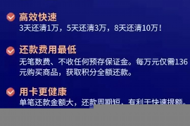 张掖张掖的要账公司在催收过程中的策略和技巧有哪些？